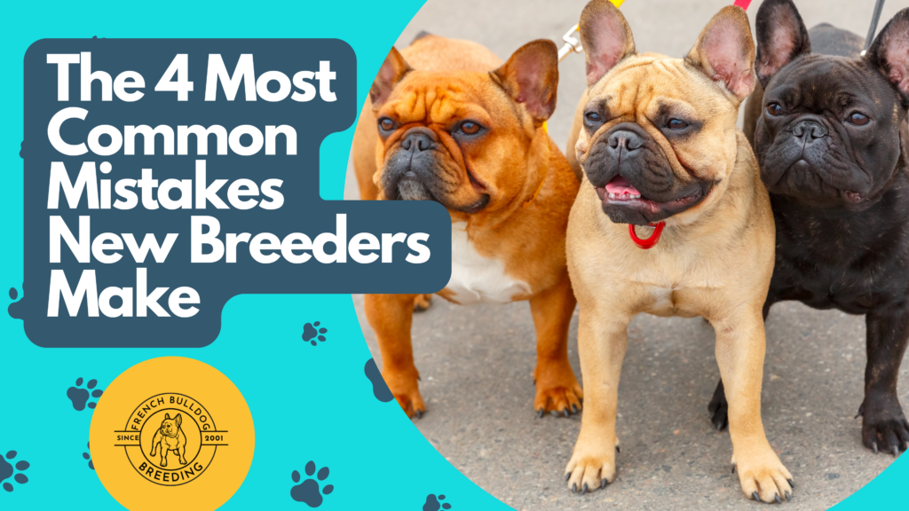 The 4 Common Mistakes New Breeders Make