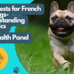DNA Tests for French Bulldogs-Understanding Genetics & the Health Panel